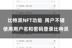 比特派NFT功能 用户不错使用用户名和密码登录比特派