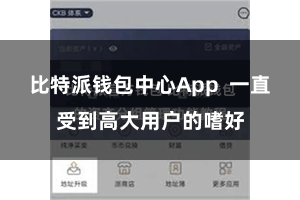 比特派钱包中心App 一直受到高大用户的嗜好