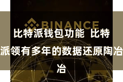 比特派钱包功能  比特派领有多年的数据还原陶冶