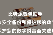 比特派钱包助手  了解怎么安全备份和保护您的数字财富至关蹙迫