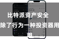 比特派资产安全  除了行为一种投资器用